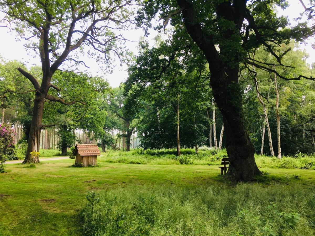 Hollicarrs - Sunflower Lodge Йорк Екстер'єр фото