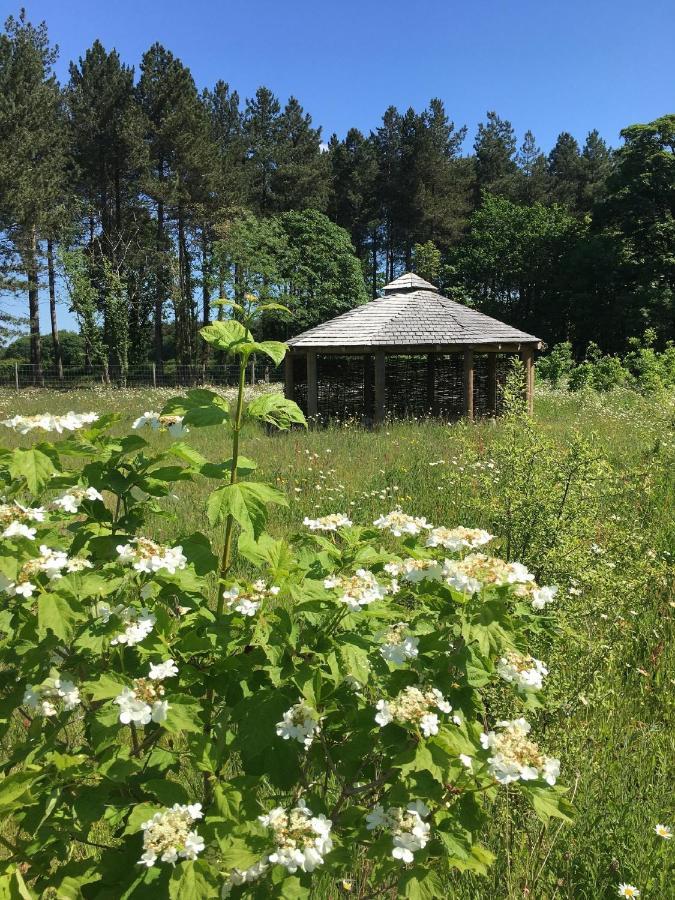 Hollicarrs - Sunflower Lodge Йорк Екстер'єр фото